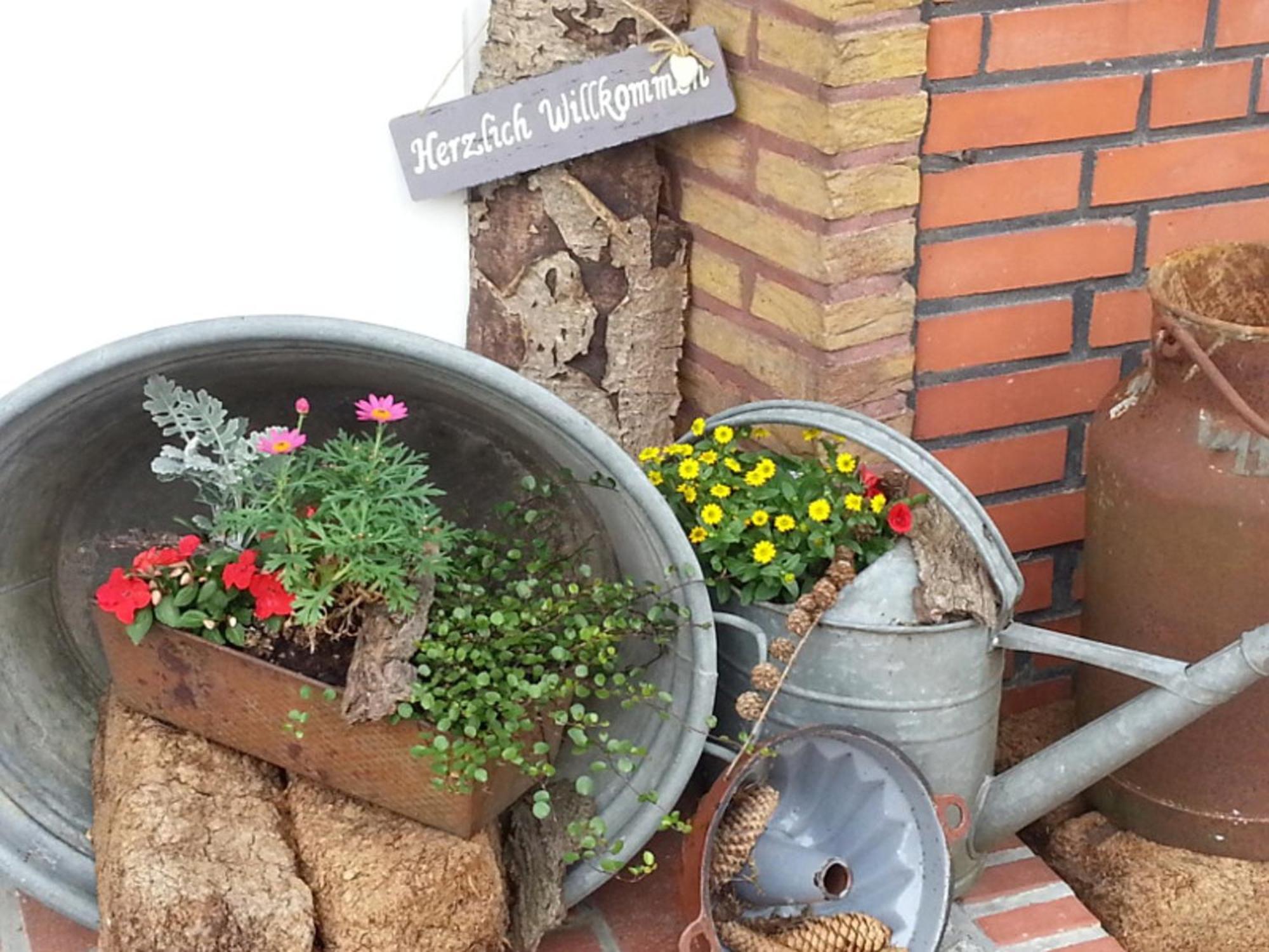 Apartmán Ferienhaus Emstal In Oberlangen Lathen Exteriér fotografie