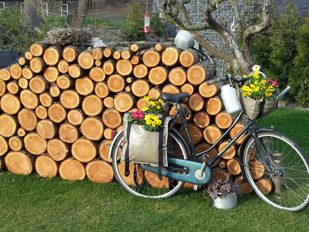 Apartmán Ferienhaus Emstal In Oberlangen Lathen Exteriér fotografie